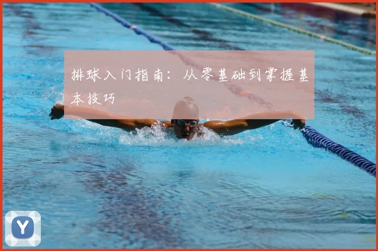排球入门指南：从零基础到掌握基本技巧